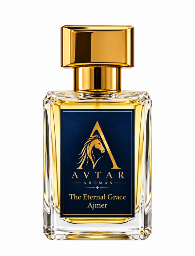 cropped ajmer.png